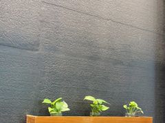 -饭怕鱼(阳光100店)