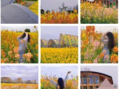 -中国天府农业博览园