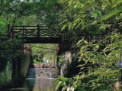 -桤木河湿地公园