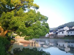 -鹿亭中村