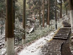 -莫干山风景区