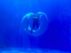 -多彩贵州城极地海洋世界