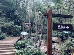 -大岭沟猕猴桃谷风景区