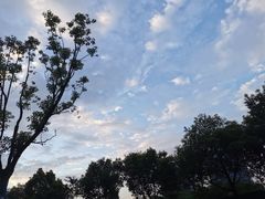 -章云板鸭(评事街店)