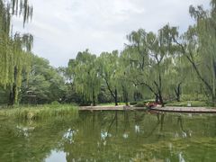 -玲珑塔公园