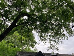 -颐和路民国时期公馆风貌区
