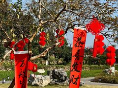 -广西壮族自治区药用植物园