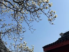 -穹窿山景区