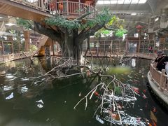 -南宫五洲植物乐园