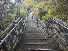 -汤旺河林海奇石景区