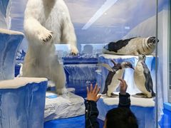 -国家自然博物馆