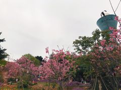 -狐尾山公园