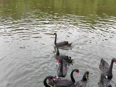-无锡动物园·太湖欢乐园