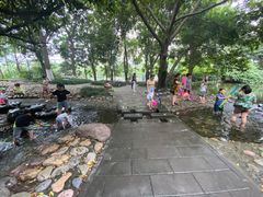 -成都市活水公园