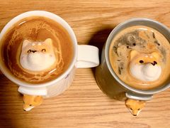 美式咖啡-柴务处·柴犬主题狗咖