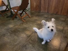 -绿房子方寸咖啡(星海名城店)