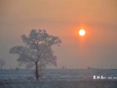 -雾凇岛