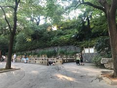 -白沙古井