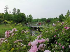 -尚贤河湿地