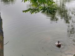 -木守西溪溪隐餐厅