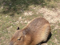 -鄂尔多斯野生动物园