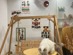 -楼上猫咖(罗湖店)