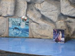 -泉州海丝野生动物世界