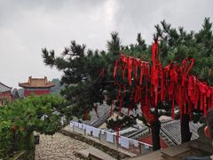 -泰山风景名胜区