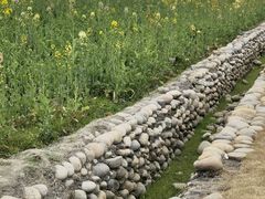 -中国天府农业博览园