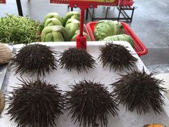 -蚝专家(北滘店)