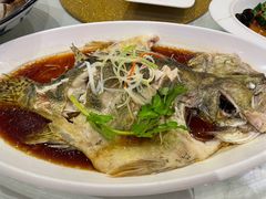清蒸桂鱼-双井轩(双井店)