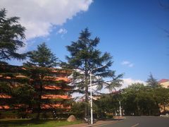 -上海交通大学闵行校区-包玉刚图书馆