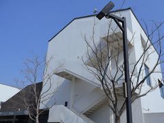 -树山生态村