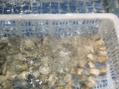 -运德成·天津老味烧烤(广开二马路店)