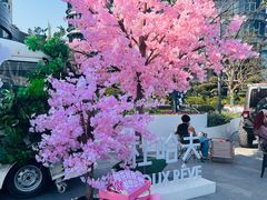 -北外滩滨江绿地