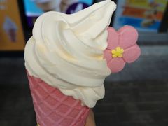 -麦当劳(金桥店)
