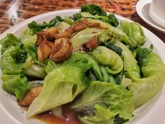 蚝油有机生菜-老广酒楼(樱花店)