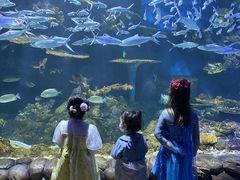 -华夏文旅西安度假区