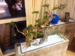 -松和日式美容整骨