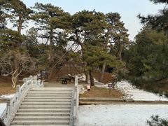 -香山公园