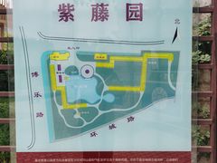 -嘉定紫藤园