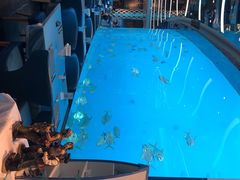 -瑞德姆美人鱼海底演艺主题餐厅(亚龙湾店)