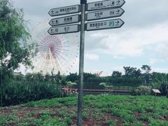 -七彩云南欢乐世界