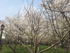 -御花园·粤菜·海鲜火锅(中山公园店)