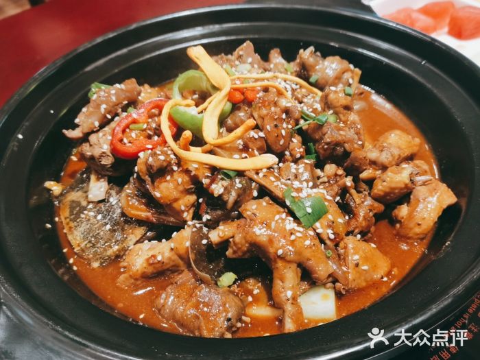 火焰金龟甲(汉阳江滩旗舰店)生态甲鱼图片