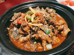 生态甲鱼-火焰金龟甲(汉阳江滩旗舰店)