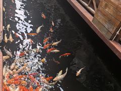 -侠成水上农庄(工业大道店)