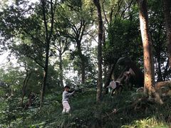 -杭州少年儿童公园