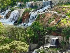 -沂蒙山旅游区云蒙景区(蒙山国家森林公园)