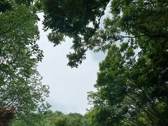 -南京市江宁方山